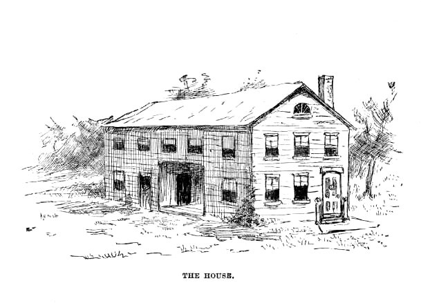The Grangerford house, two storeys with a dog-trot and chimney.